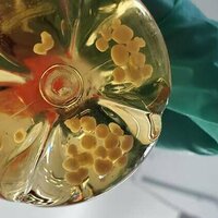 Science requires ethical oversight -without federal dollars, society's health and safety are at risk