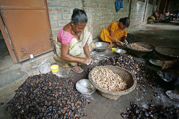 Women-led nano and micro enterprises in rural India key drivers of inclusive growth: Report