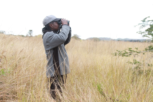 ZIMBABWE-HARARE-WETLAND-PRESERVATION-ECOSYSTEMS