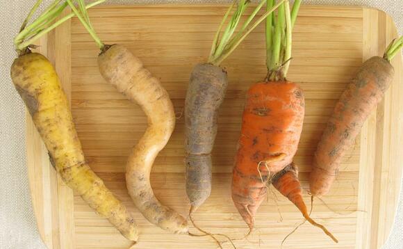 Time for retailers and shoppers to embrace 'imperfect' veg