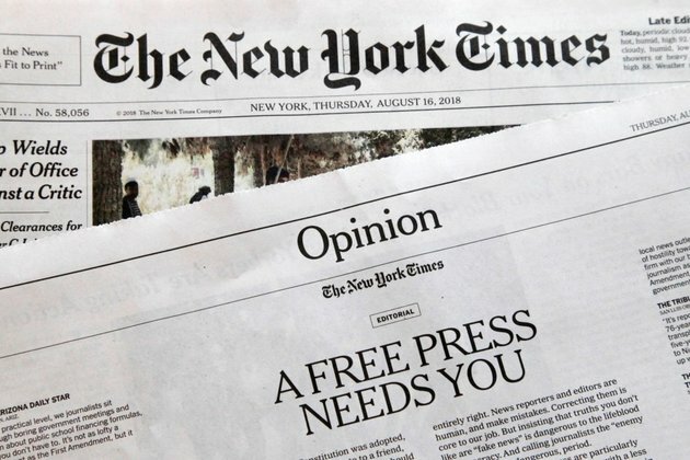 NY Times Freelancer on Trial in Zimbabwe in Immigration Case