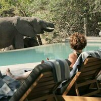 Communities near South Africa's Kruger National Park prefer wildlife-friendly ways to earn a living over killing animals