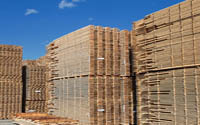 Sweden trip takes TG Builders Merchants to the source