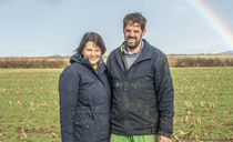 Cornwall mixed farm achieves net zero after regenerative farming switch