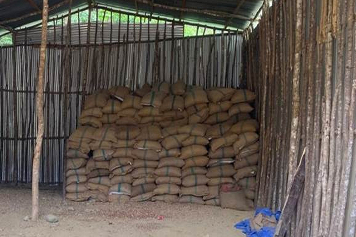 DRI seizes 60,000 kg smuggled areca nuts in North-East