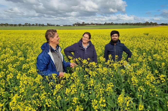 Corrigin Farm Improvement Group’s Executive Officer Joy Valle (centre) stands in a canola crop at the Kweda field site in 2024 with Soil CRC and Murdoch University Emeritus Professor, Dr Richard Bell (left), and Soil CRC researcher Dr Hassan Sardar.