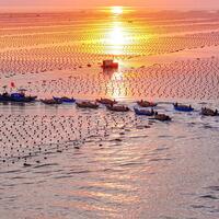 Robotic fish help revitalize fish farming