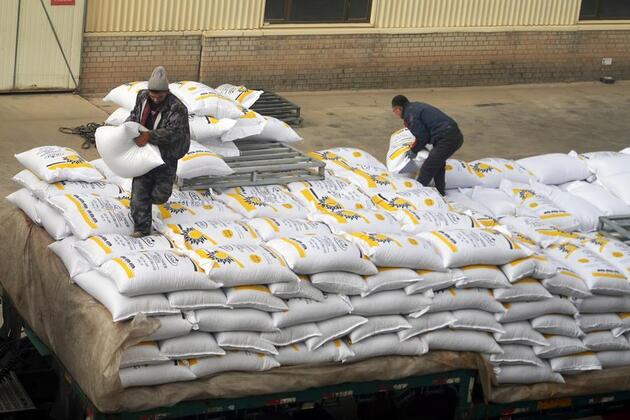 China's sunflower seeds find global appetite