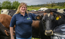 Gloucester family tackles flood risk through proactive approach