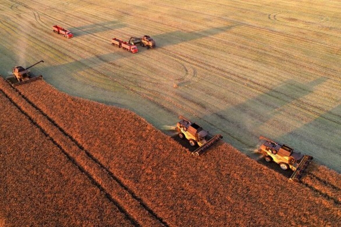 Russia slashes food exports to Western countries minister