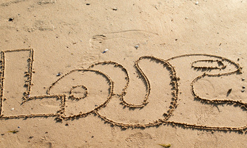 Love 350x210