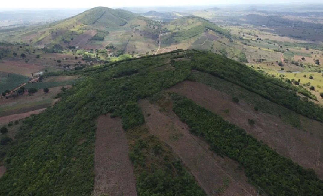 Área do projeto de ouro Pereira Velho, em AL