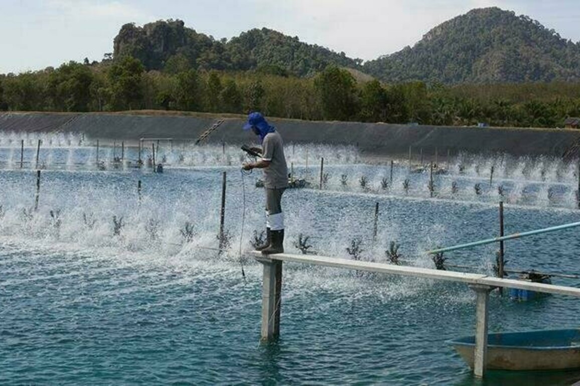 ADB, Thai Union Sign the First Blue Loan for Sustainable Aquaculture in Thailand