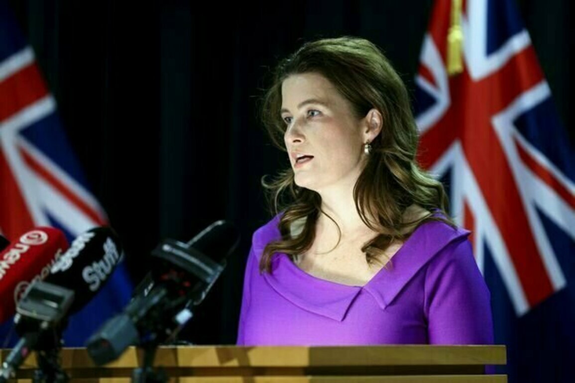 Willis warns of a 'tight' budget to come, but NZ should be going for productivity, not austerity