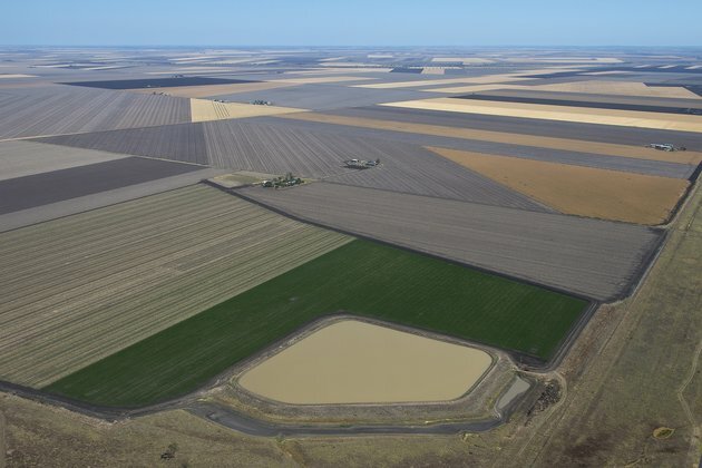 It&#039;ll be hard, but we can feed the world with plant protein