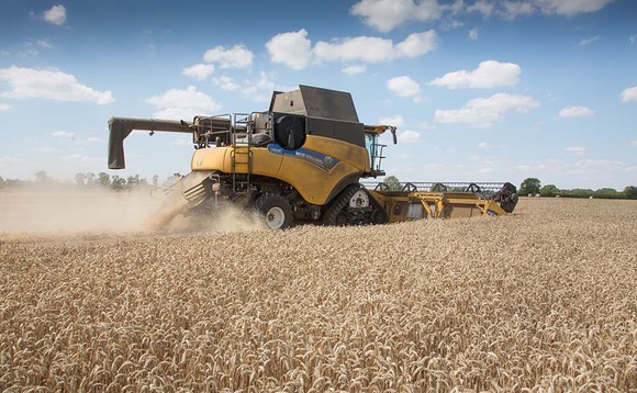 Tight wheat market looks set to stay due to war in Ukraine
