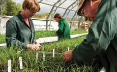 Major expansion in glasshouses needed to meet targets