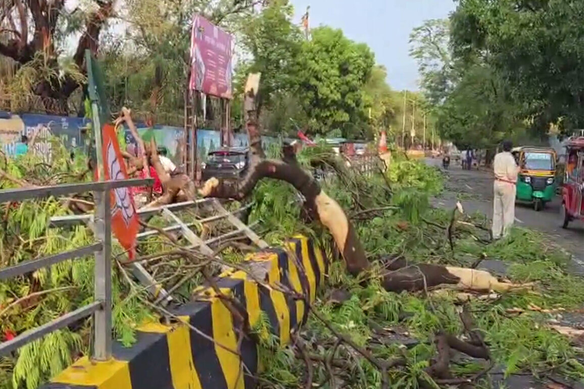 3 dead, 5 injured as severe storm hits Patna