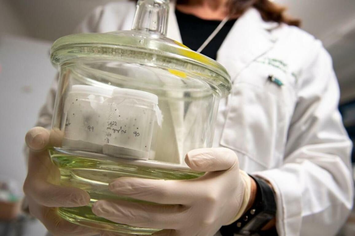 Guest column- Cutting university research is bad for La.