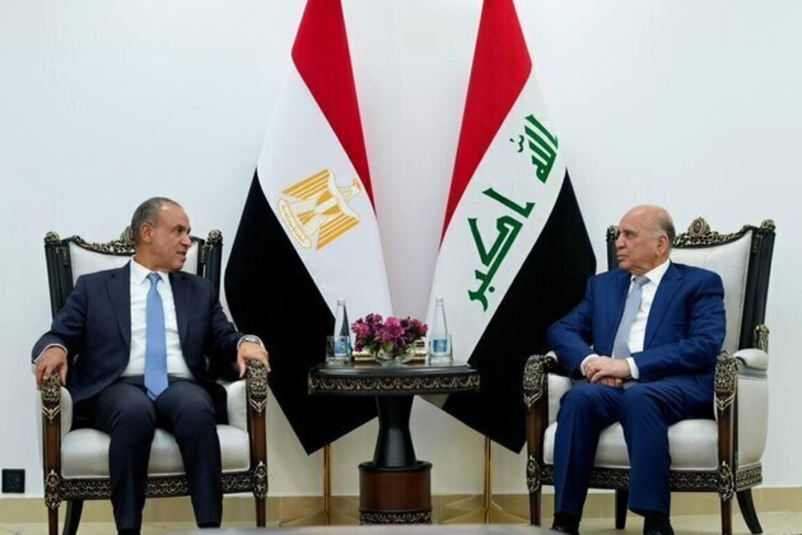 Egyptian FM discusses de-escalation efforts in Baghdad