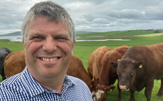 Scottish Beef Association (SBA) appoints Paul Ross as chair