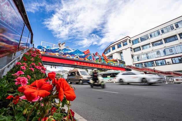 Full coverage of radio, television enriches villagers' lives in Xizang