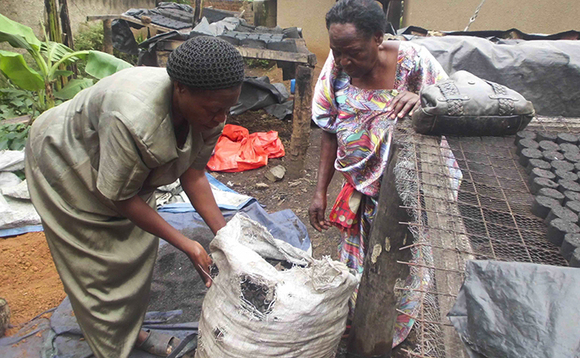 Musenero (ku kkono) ng'apakira amanda agawedde okukola mu kasasiro. Musenero (ku kkono) ng'apakira amanda agawedde okukola mu kasasiro.