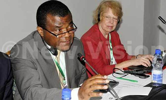 Uganda, Rwanda, DRC join to protect Virunga Forest Park Uganda, Rwanda, DRC join to protect Virunga Forest Park