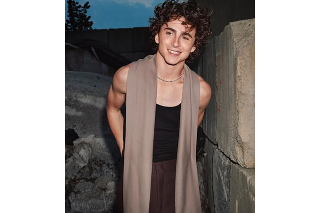 Timothee Chalamet backs theatrical releases, says movies in cinemas create "more of a moment"