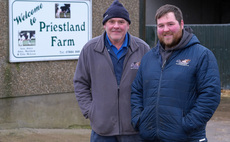 Mixture of dairy breeds on Northern Ireland farm