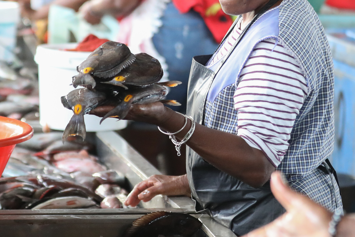 CAPE VERDE-PRAIA-FISH MARKET