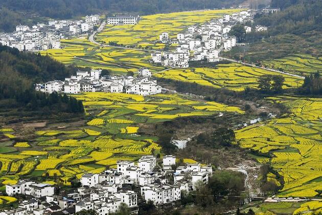 Rural revitalization composes symphony of ecology, culture in east China county