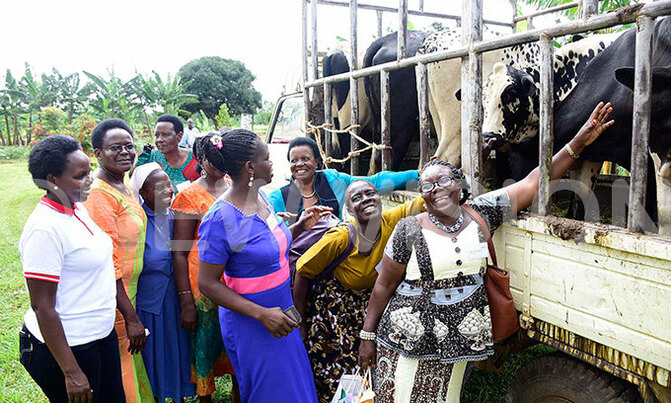 UWESO to set up a model farm in Masulita UWESO to set up a model farm in Masulita