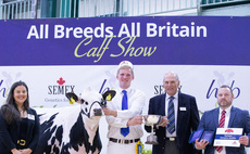 Hot competition in the showmanship ring at All Breeds All Britain