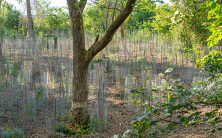30x30: Is the government's ambitious nature conservation goal still achievable?