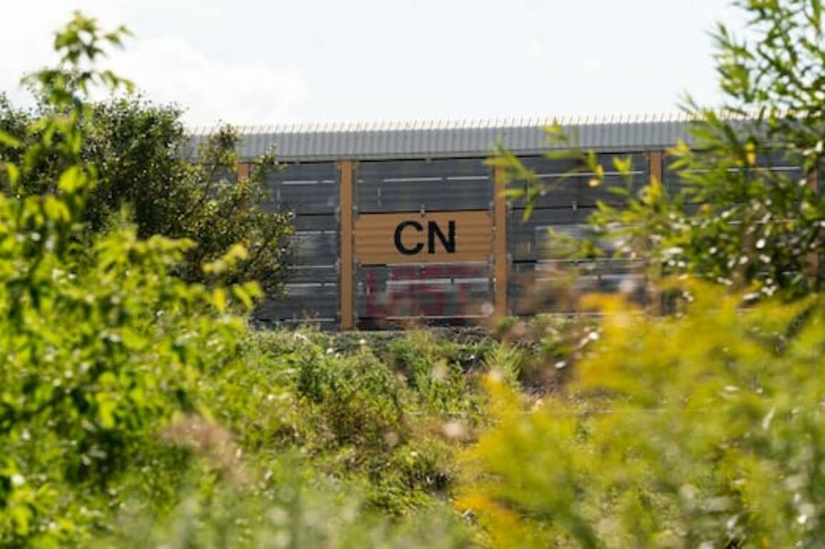 CN Rail warns of 'catastrophic impacts' as it seeks anti-flood barrier in Jasper park