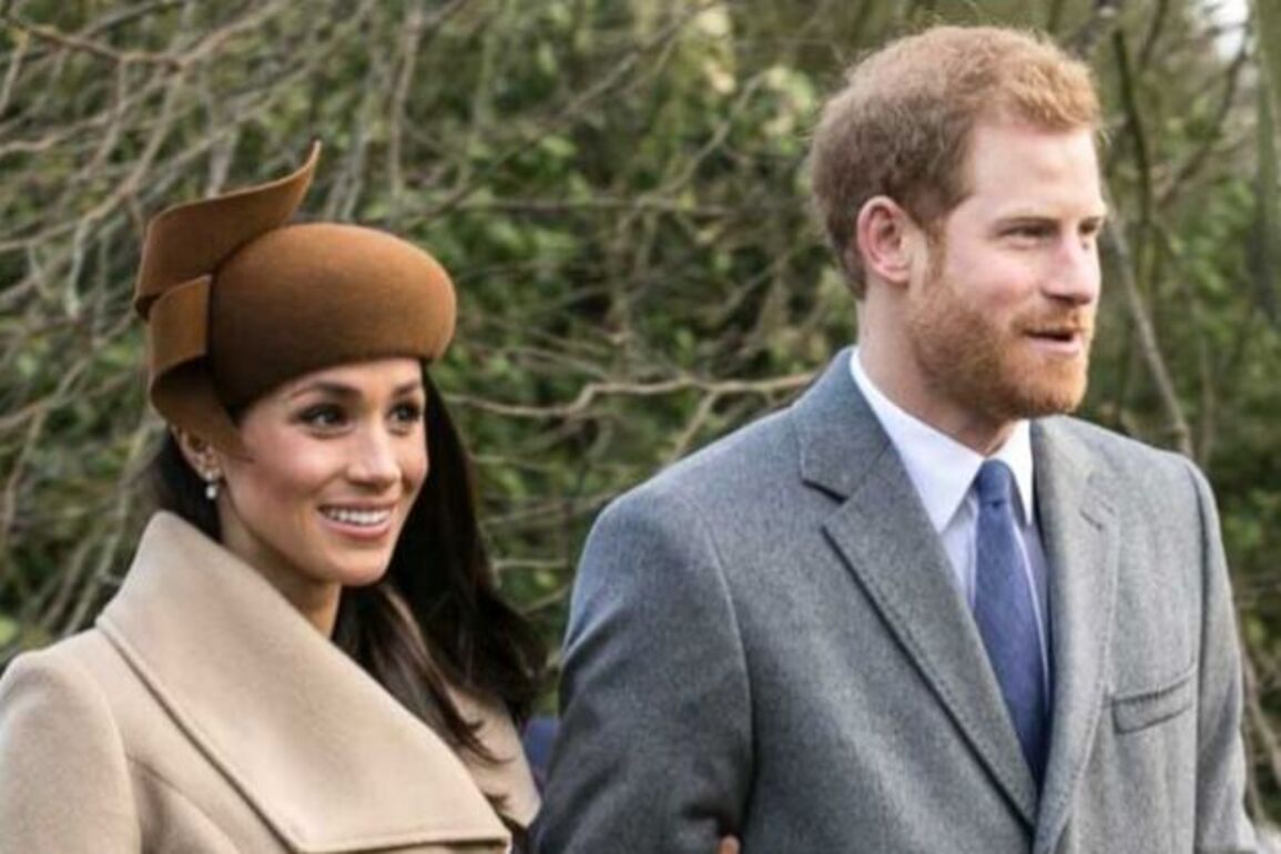 African charity set up by Prince Harry sues him for defamation