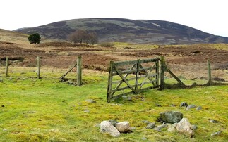 GWCT winds down Auchnerran tenancy