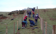 Farmer and flood victims join forces to plant 100,000 trees