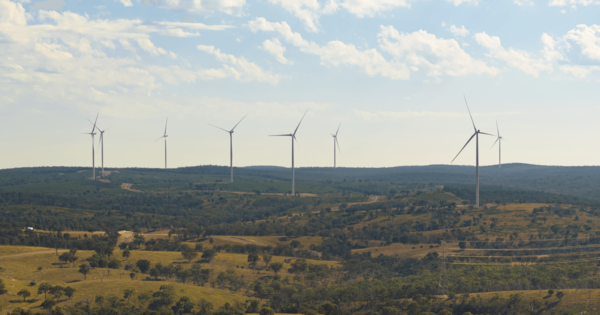 BMA goes green