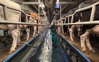 Organic Devonshire dairy farm benefits from monitoring technology