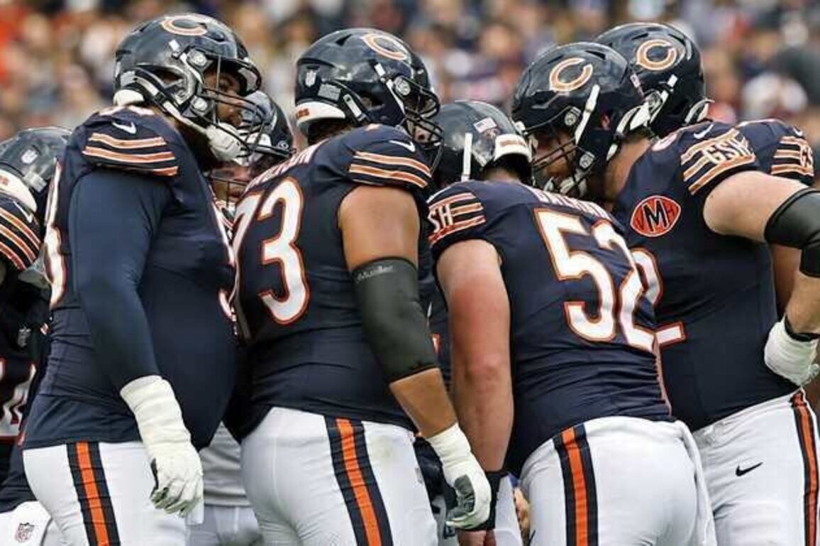 Bears 2025 position review: Offensive line