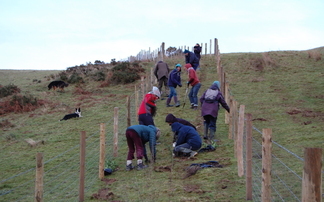 Farmer and flood victims join forces to plant 100,000 trees