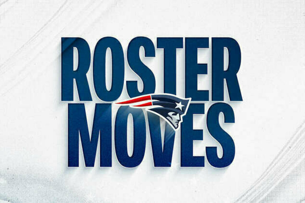 Patriots Sign RB Trayveon Williams and Release DT Eric Johnson II