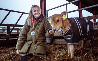 Farm donates Jersey cows to 'enhance' the farming experience for students