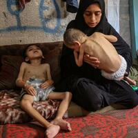 Xinhua Commentary: Don't let peace in Gaza become a castle in the air