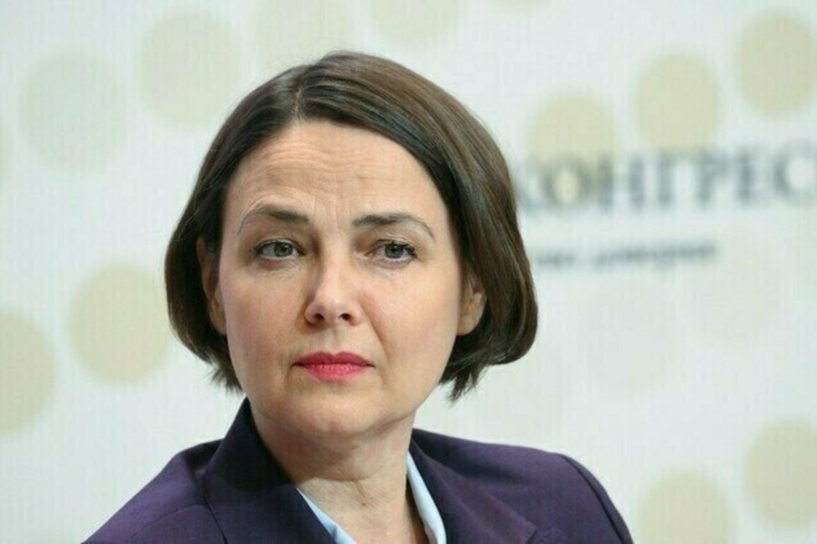 Russia to support Africas energy sovereignty  diplomat