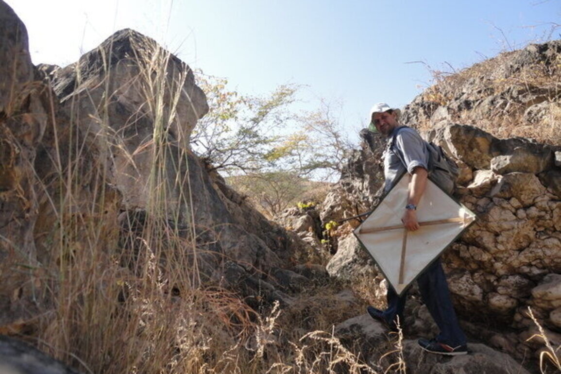 EPAA discovers 4 new spider species in UAE