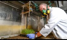  Charles Sturt University senior technical officer Dr John Broster setting up ryegrass seedlings in a spray cabinet for herbicide resistance screening. Photo courtesy Nicole Baxter