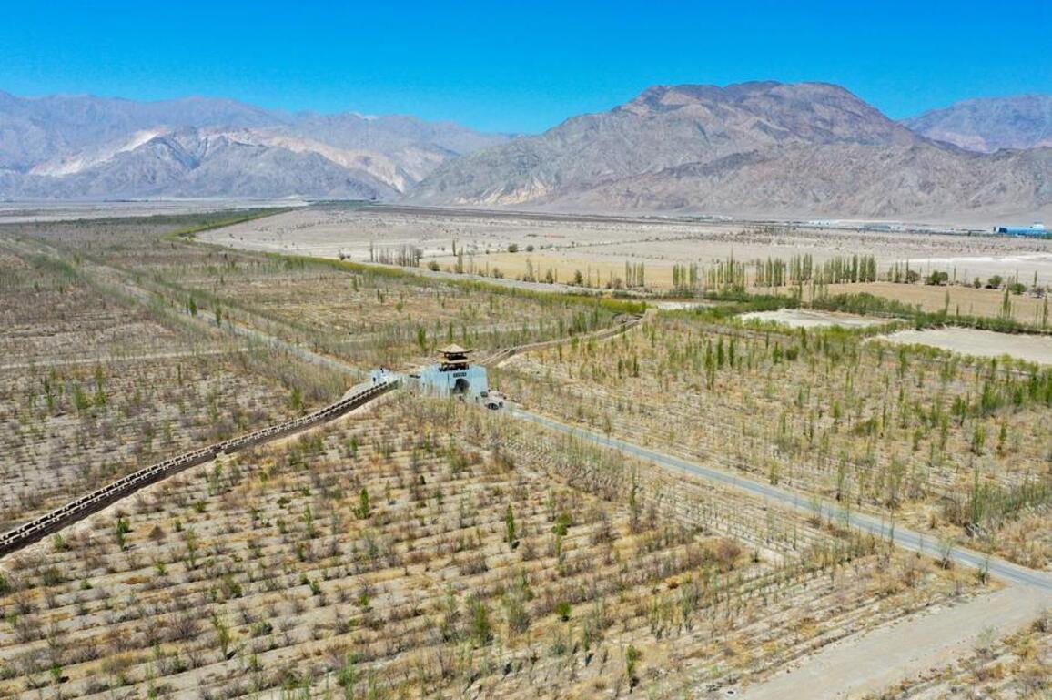 Xiconomics: Why China's green turn matters in a warming world